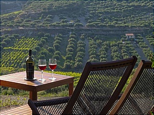  Scalani Hills Boutari Winery & Residences 